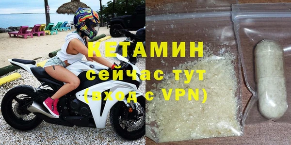 шишки Горняк