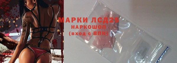 шишки Горняк