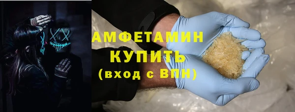 шишки Горняк