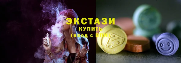 шишки Горняк