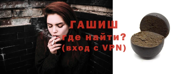 шишки Горняк