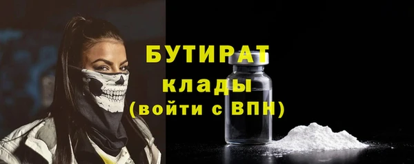 шишки Горняк