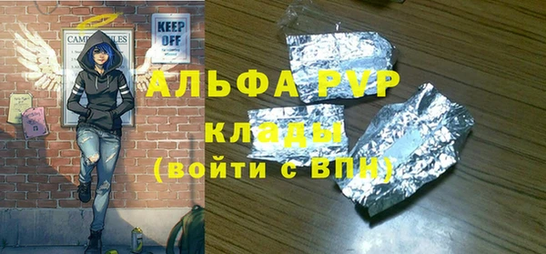 шишки Горняк