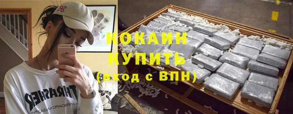 шишки Горняк
