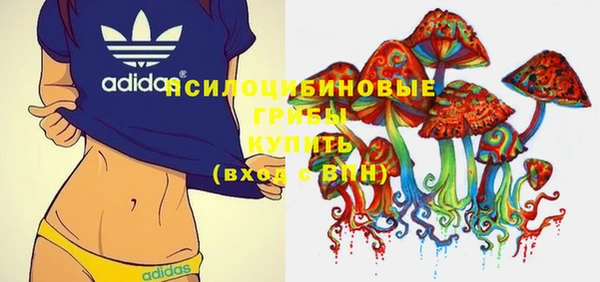 шишки Горняк