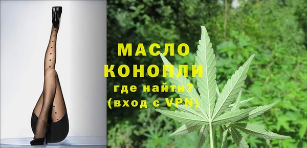 шишки Горняк