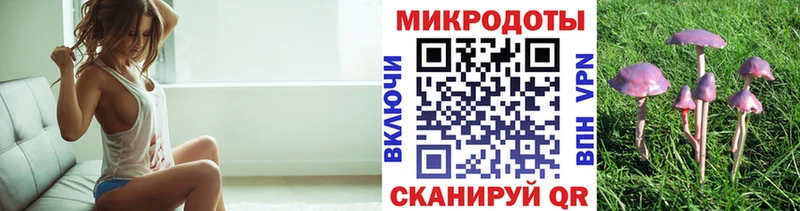 Галлюциногенные грибы мицелий  Купить где  Кашин 